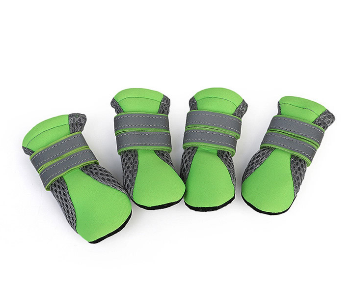 Dog Walking Shoes for Outdoor Adventures