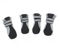 Dog Walking Shoes for Outdoor Adventures