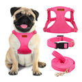 No Pull Dog Harness- Lightweight Soft Adjustable Small Harness Collar and Leash Set Suitable for Cats Puppy Small and Medium-Sized Dog Outdoor Training and Running (hotpink M)