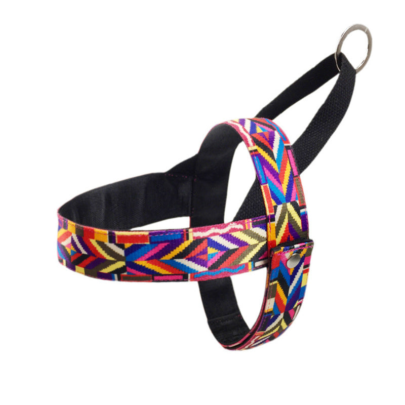 Small Outdoor Dog Chest Strap Design