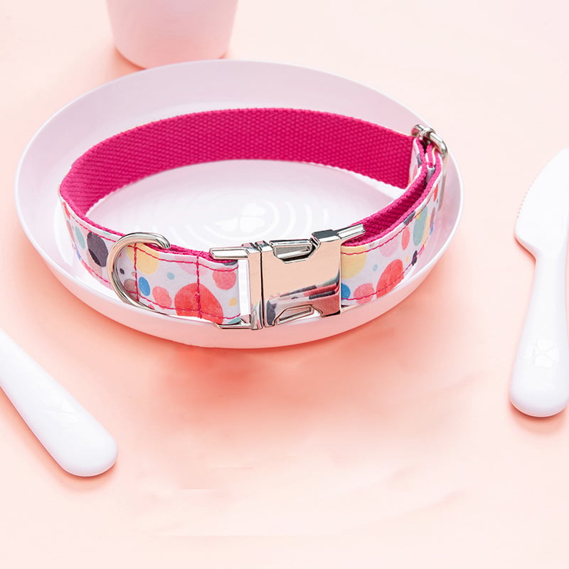 Cute Bubble Outdoor Dog Collar