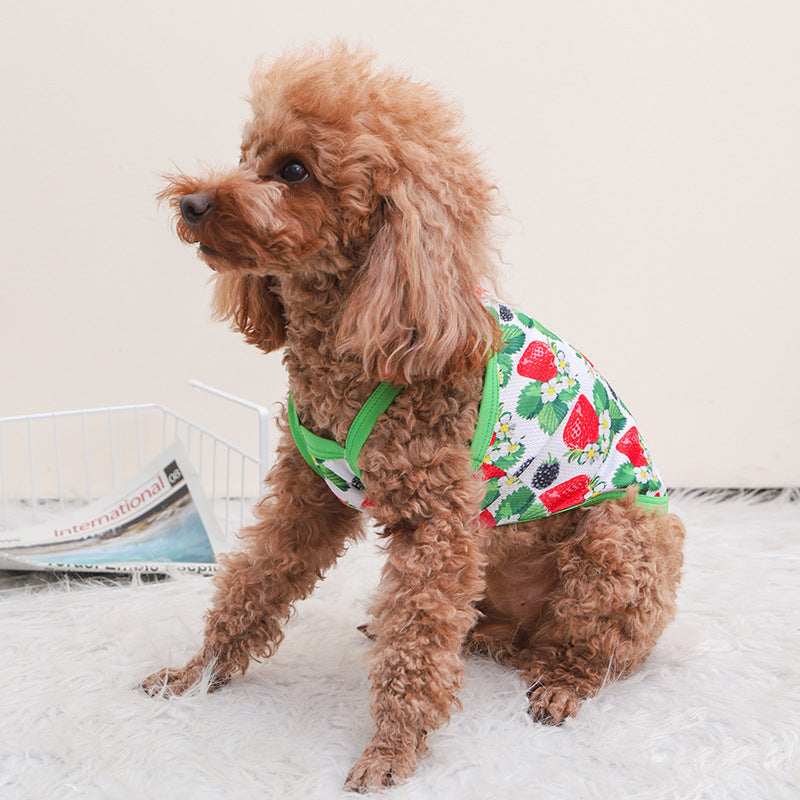 Avocado Summer Outdoor Breathable Dog Sling Vest
