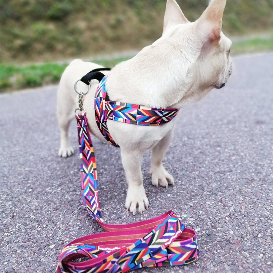 Small Outdoor Dog Chest Strap Design