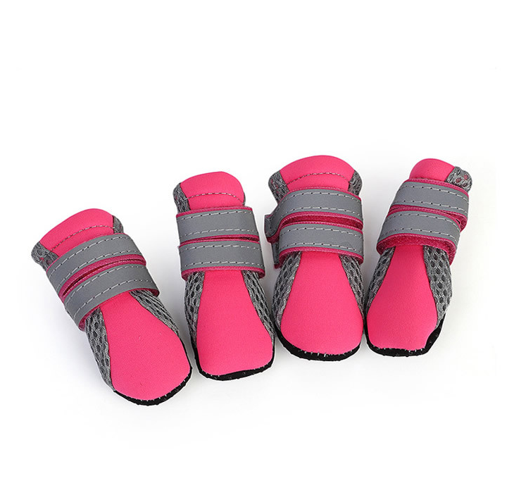 Dog Walking Shoes for Outdoor Adventures