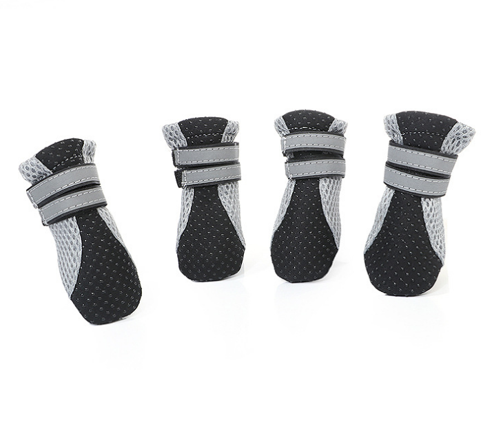 Dog Walking Shoes for Outdoor Adventures