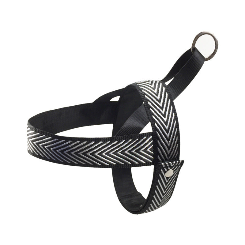 Small Outdoor Dog Chest Strap Design