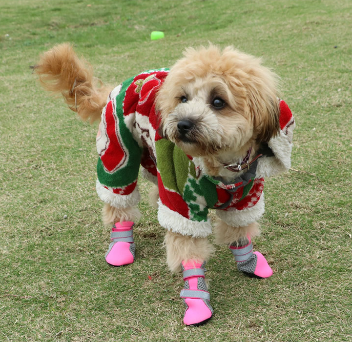 Dog Walking Shoes for Outdoor Adventures